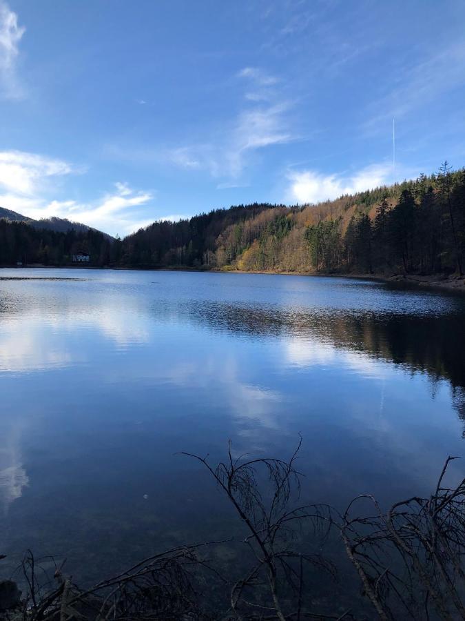 Atterseeperle - 80m2 Mit See- Und Gebirgsblick Apartment Steinbach am Attersee