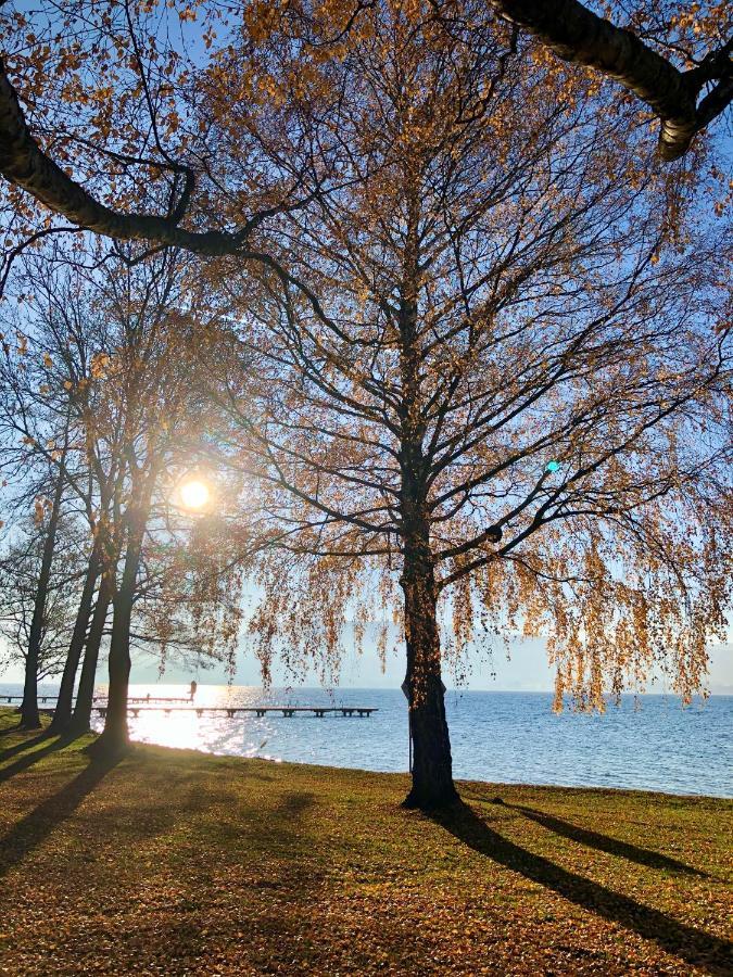 Atterseeperle - 80m2 Mit See- Und Gebirgsblick Steinbach am Attersee