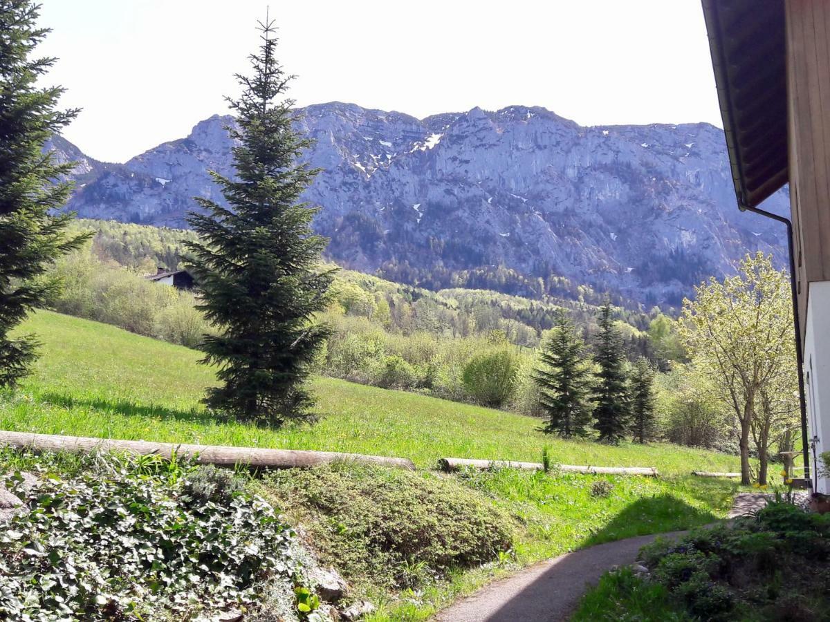 Atterseeperle - 80m2 Mit See- Und Gebirgsblick *
